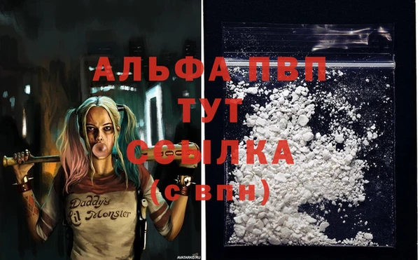 ECSTASY Липки