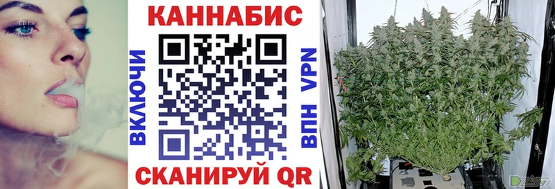 Канабис сатива  Карабаш 